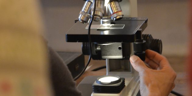 Samples of the lake water were analyzed under the microscope