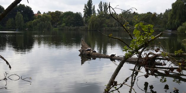 Der Schäfersee